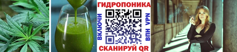 МЕГА tor  Энем  Canna-Cookies конопля 