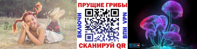 omg tor  Энем  Галлюциногенные грибы Cubensis 